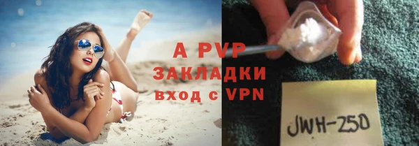 a pvp Белокуриха